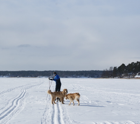 Edessä Naantalin Luonnonmaan saari ja oikealla sivulla Maskun Niemenkulma